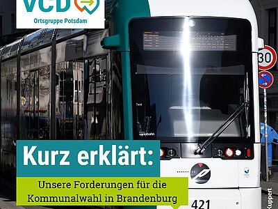 Das Bild zeigt eine Tram in Potsdam.